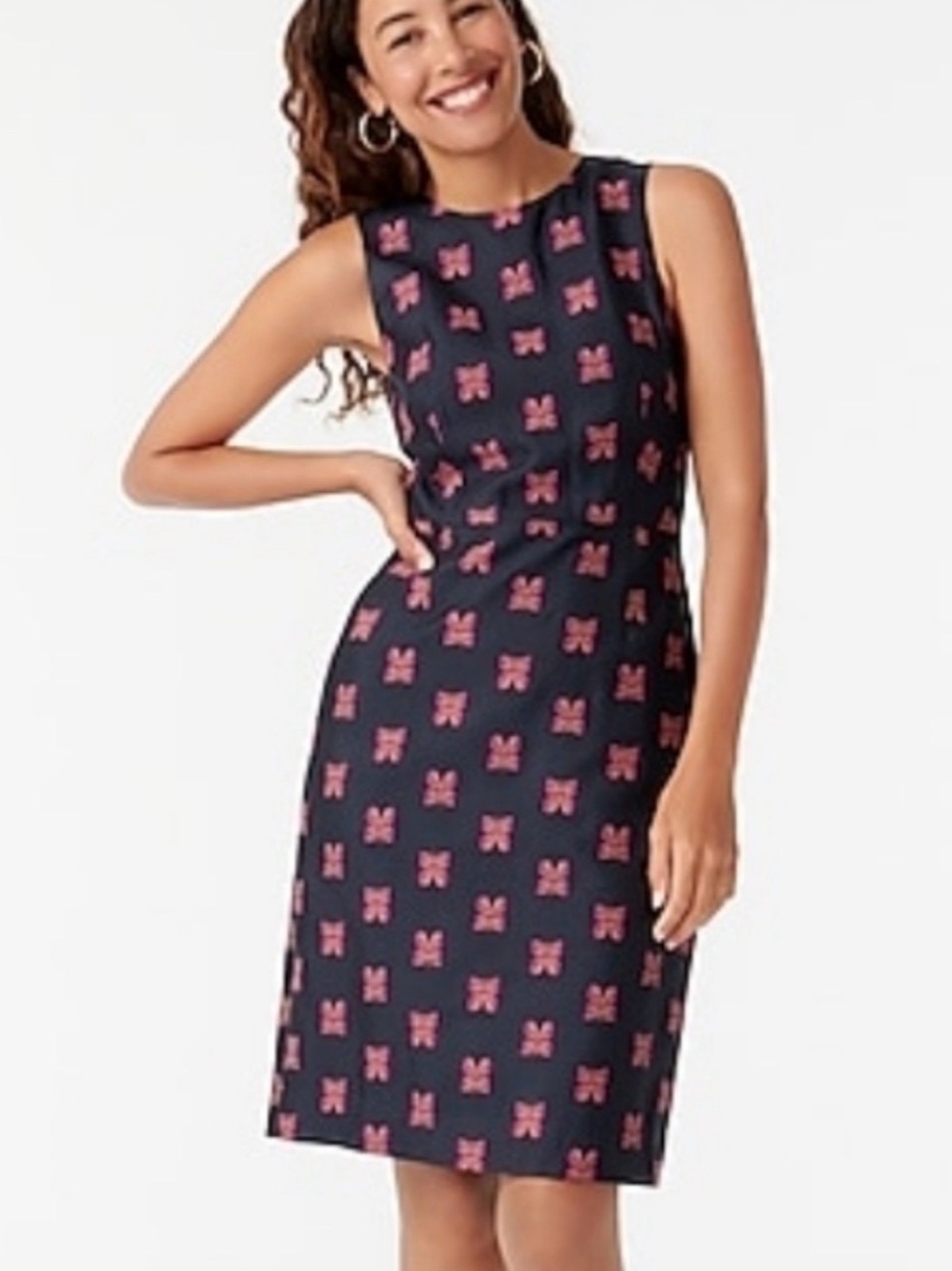 Women’s JCrew Classic Sleeveless Navy Dress with Pink Butterfly Pattern. 16. NWT